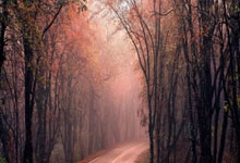 大阪钢巴凭借默契合作击败对手！